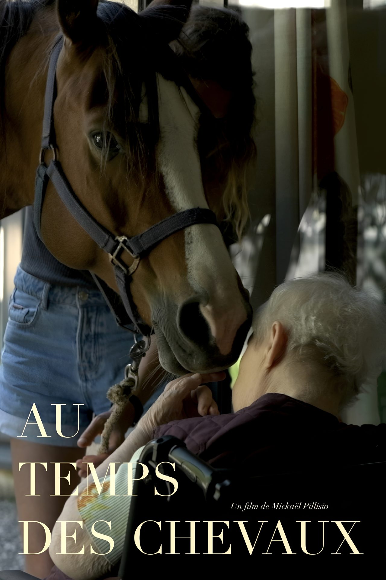 au-temps-des-chevaux