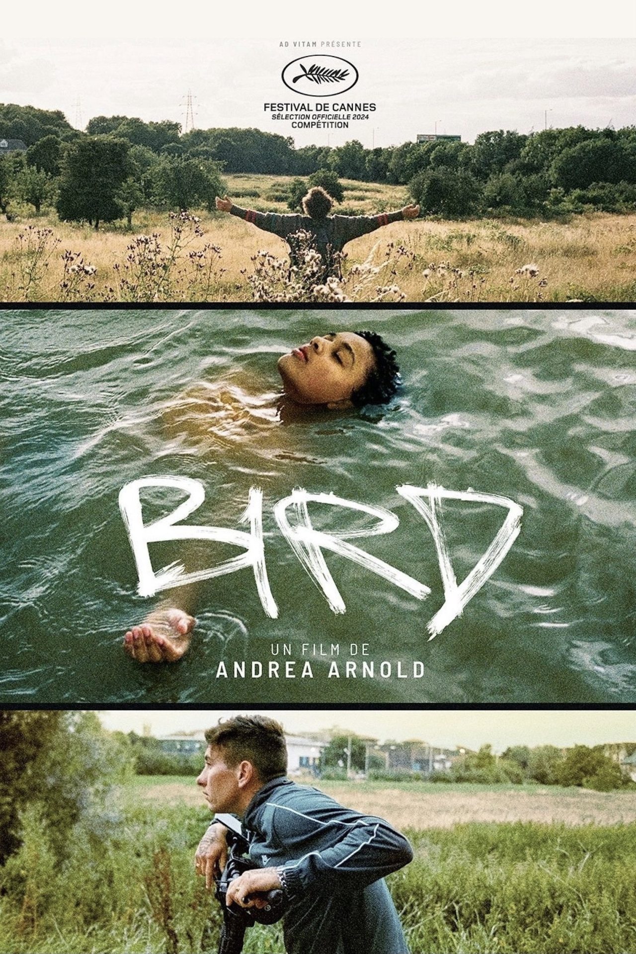 bird